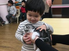 -123育儿园(百子湾校区)
