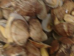 -宾朋海鲜特色美食餐厅·纯手工鲅鱼水饺(兴海路店)