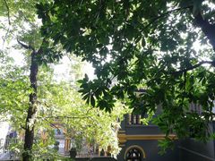 -湖南省立第一师范学校旧址