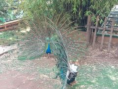 -昆明动物园
