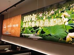 -在莲野·湖北民间菜·头牌松滋鸡(光谷步行街店)