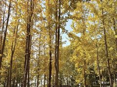 -艾溪湖湿地公园