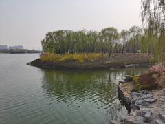 -大兴滨河森林公园