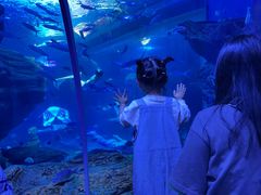 -多彩贵州城极地海洋世界