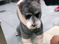 -宠福鑫康馨动物医院·骨科·眼科