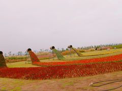 -漩门湾国家湿地公园