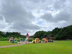 -济州森林小火车生态公园