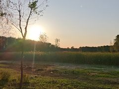 -东郊湿地公园