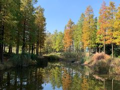 -上海山野camping·户外天幕烧烤·团建拓展营地