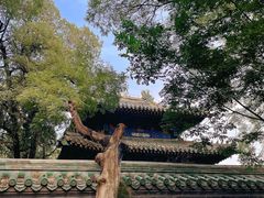 -北京国子监胡同