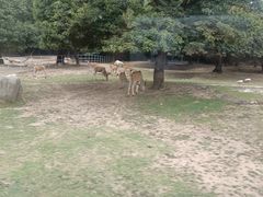 -西安秦岭野生动物园
