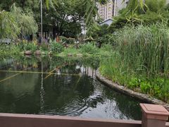 -苏州河梦清园环保主题公园