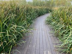 -永定河休闲森林公园