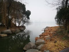 -长广溪湿地公园