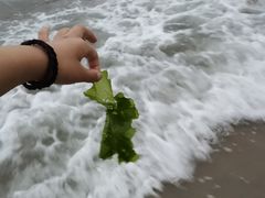 -北戴河东海水浴场