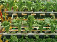 -兰陵国家农业公园