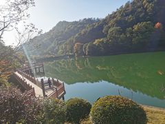 -桃花岭景区