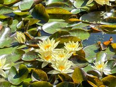 -国家植物园南园