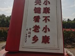 -亚龙湾国际玫瑰谷