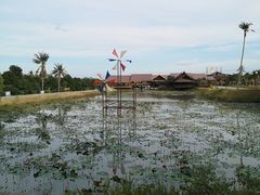 -东芭乐园
