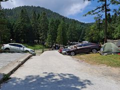 -武陵山森林公园