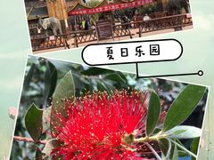 -呀路古热带植物园-恐龙馆