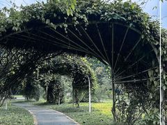 -东莞植物园