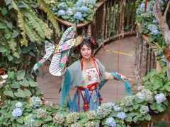 -正佳雨林生态植物园