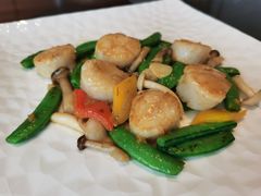 荷兰豆炒澳洲鲜贝-香樟花园新粤料理(无锡万象城店)