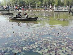 -溱湖国家湿地公园