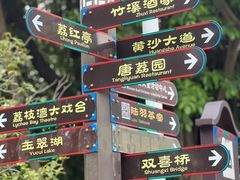 -荔湾湖公园