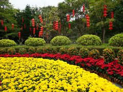 -云溪植物园