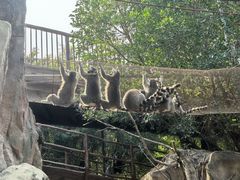-长鹿旅游休博园