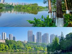 -重庆彩云湖湿地公园