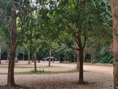 -田心森林公园