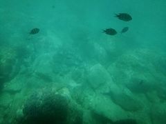 -亚龙湾海底世界
