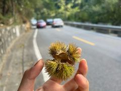 -秦岭风景区