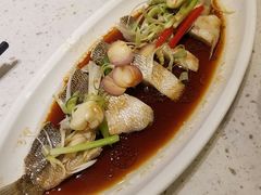 -千日贺茶餐厅(高新万达店)