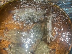 -小厨师·二十年沈家门小海鲜(百井坊巷店)