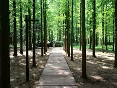 -河南省黄河迎宾馆