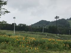 -汉拿山温泉度假酒店