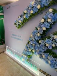 -云南吴氏嘉美医疗美容医院