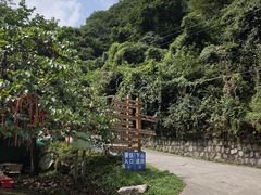 -西安祥峪森林公园