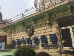 -杨浦科技幼稚园