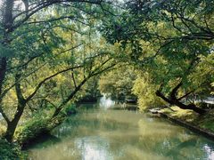 -西溪国家湿地公园