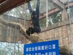 -南昌动物园