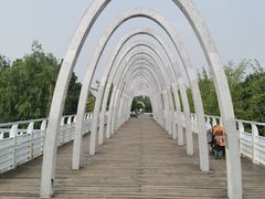 -大兴滨河森林公园