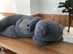 -Blueglass酸奶(财富购物中心店)