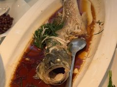 -院里寻菜·精致庭院菜(观沙岭店)