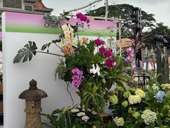 -顺峰山公园